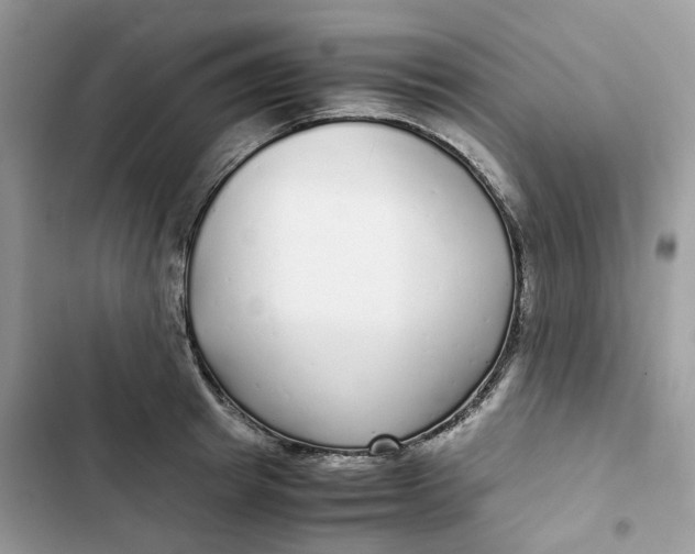 X0000103290849200809191828