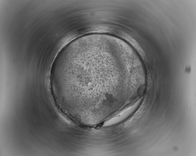 X0000103290850200809191828