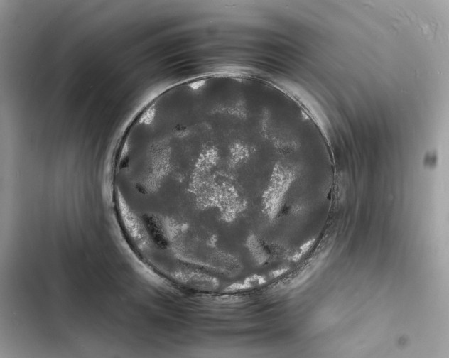 X0000103290851200809191828