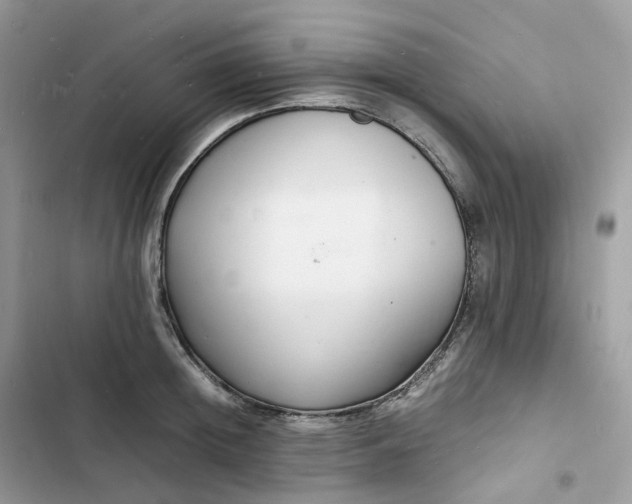 X0000103290852200809191828