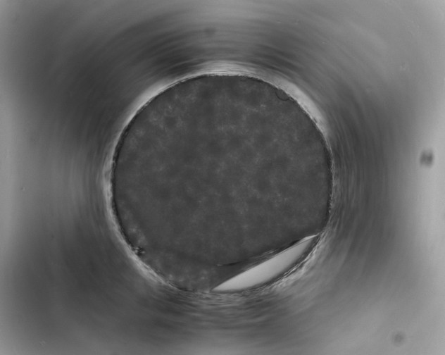 X0000103290853200809191828