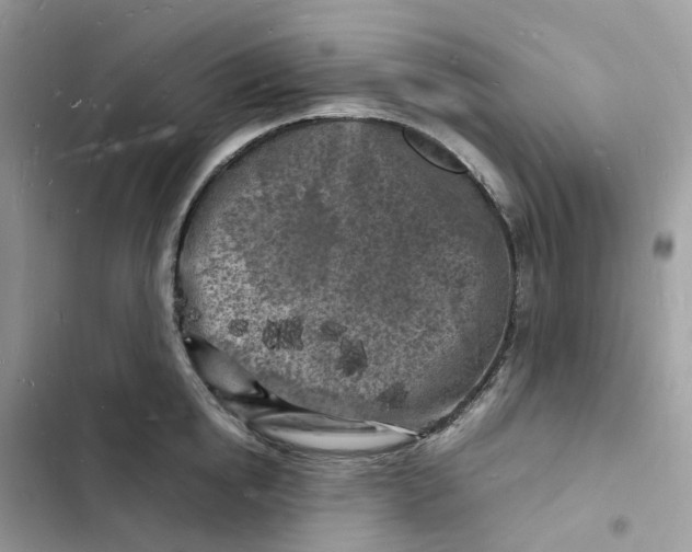 X0000103290854200809191828