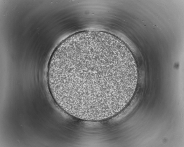 X0000103290856200809191828