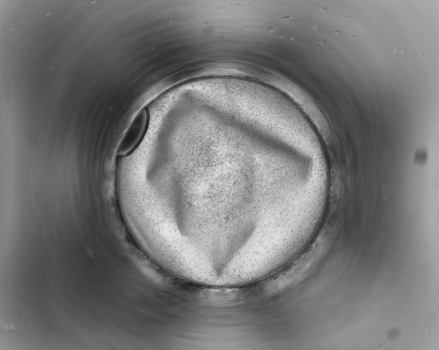 X0000103290858200809191828