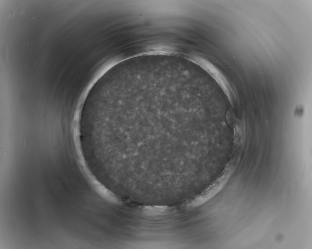 X0000103290859200809191828