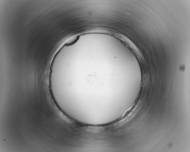 X0000103290860200809191828