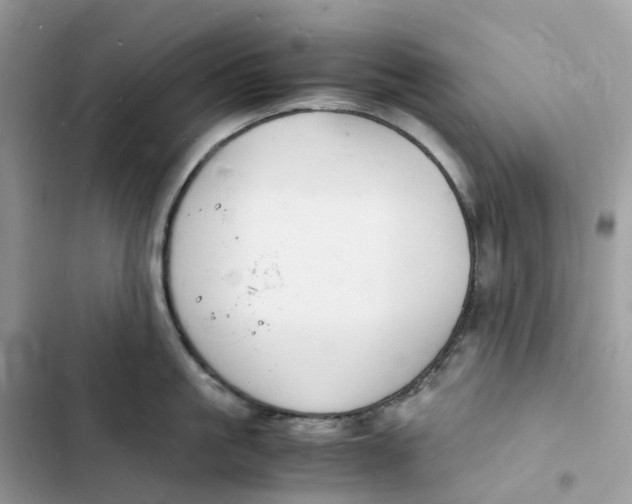 X0000103290861200809191828