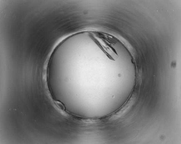 X0000103290862200809191828