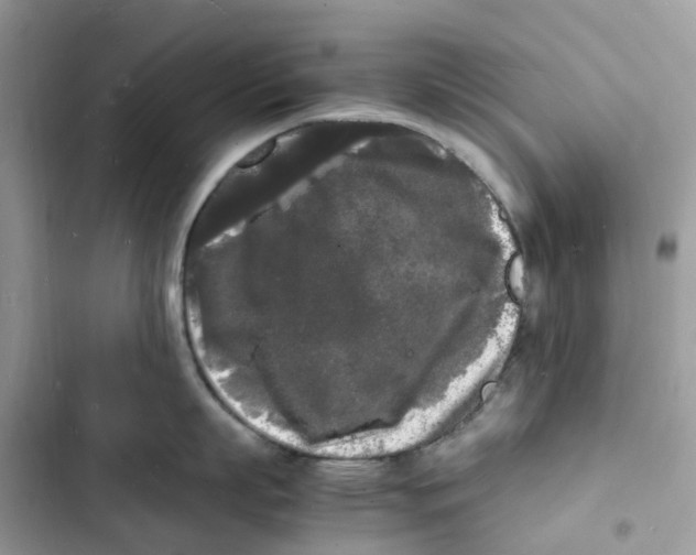 X0000103290863200809191828