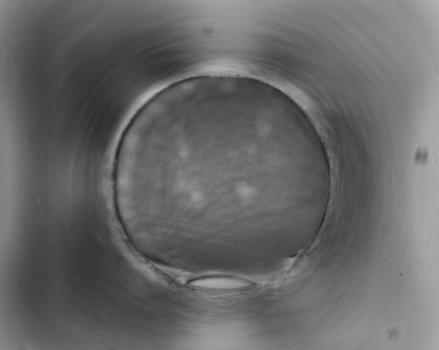 X0000103290864200809191828