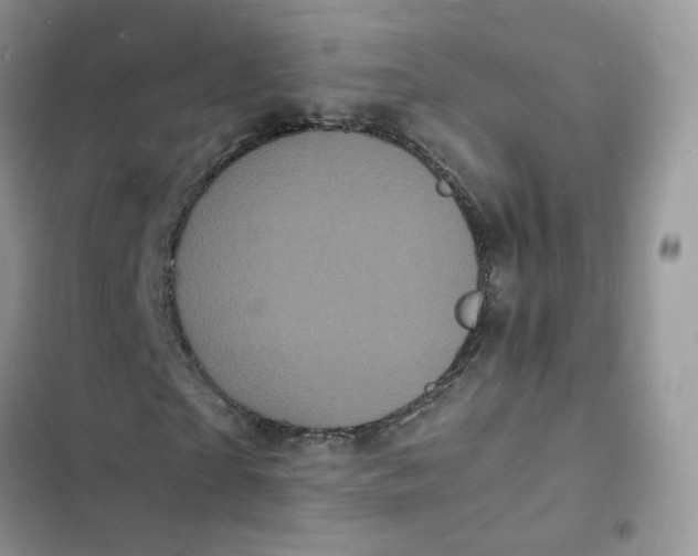 X0000103290865200809191828