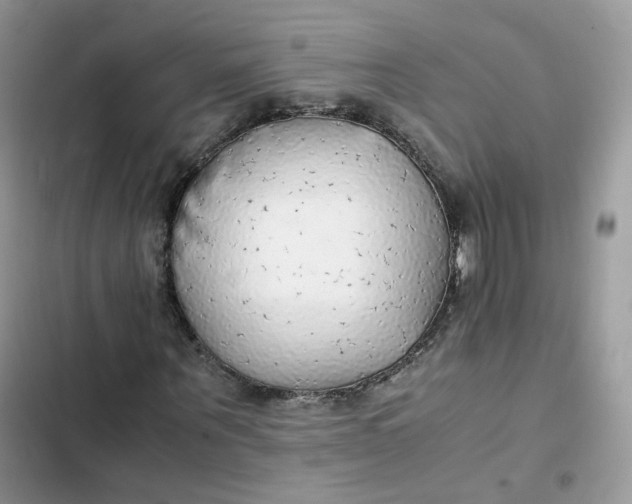 X0000103290867200809191828