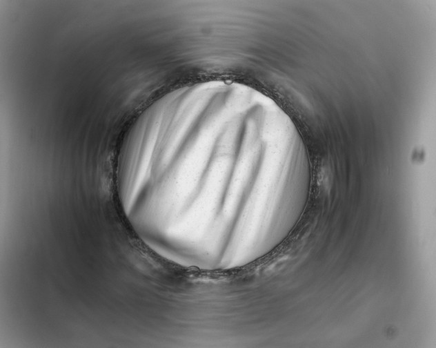 X0000103290868200809191828