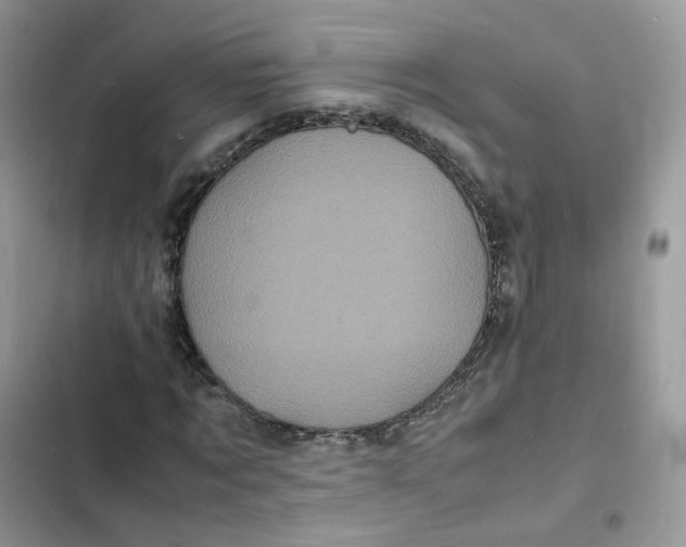 X0000103290869200809191828