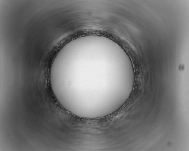 X0000103290870200809191828