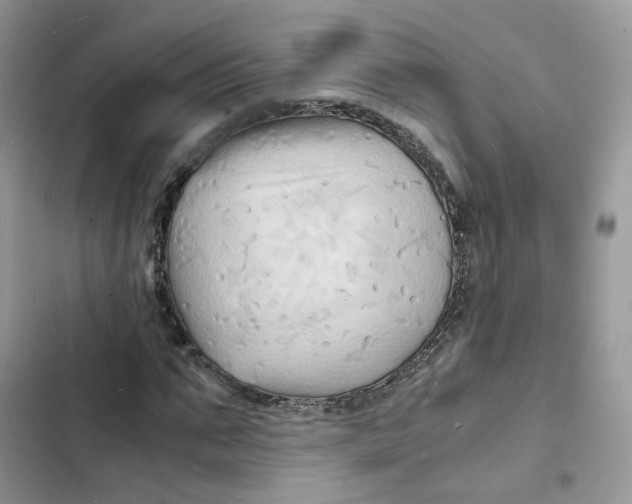 X0000103290871200809191828