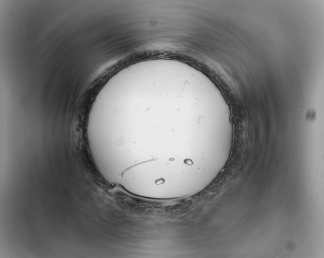 X0000103290872200809191827