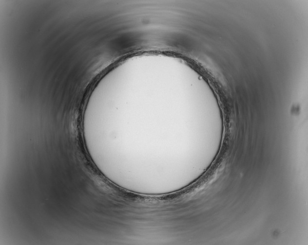 X0000103290873200809191827