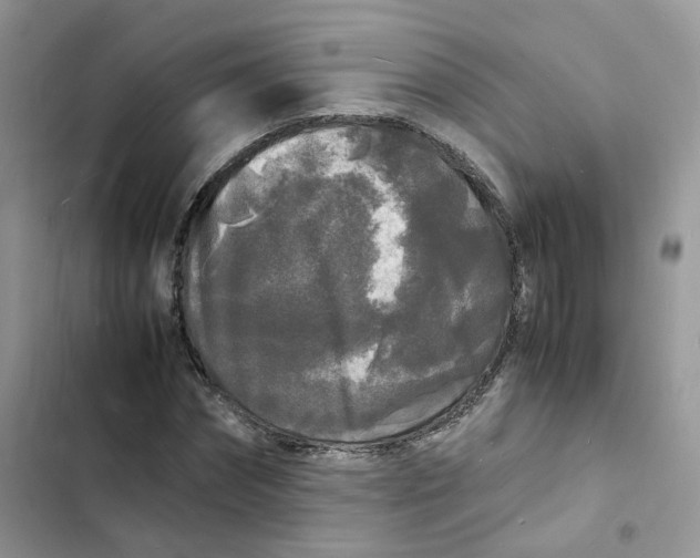 X0000103290874200809191827