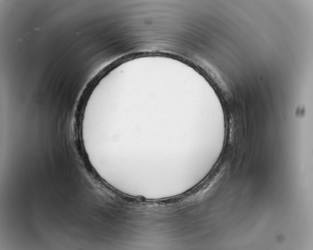 X0000103290876200809191827