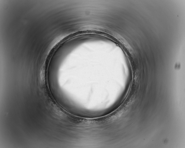 X0000103290877200809191827