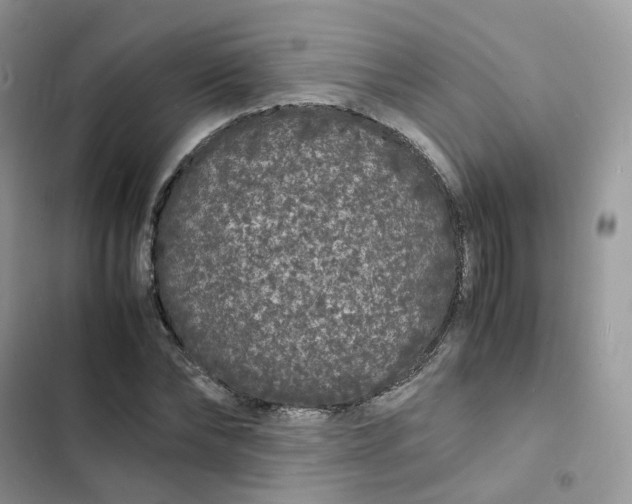 X0000103290878200809191827