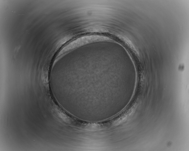 X0000103290881200809191827