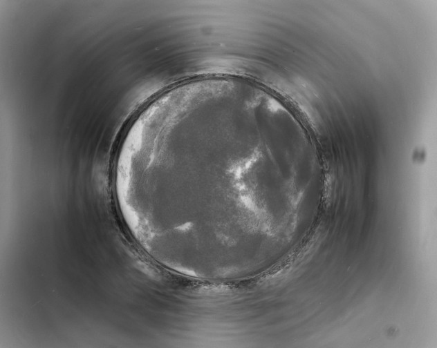 X0000103290882200809191827