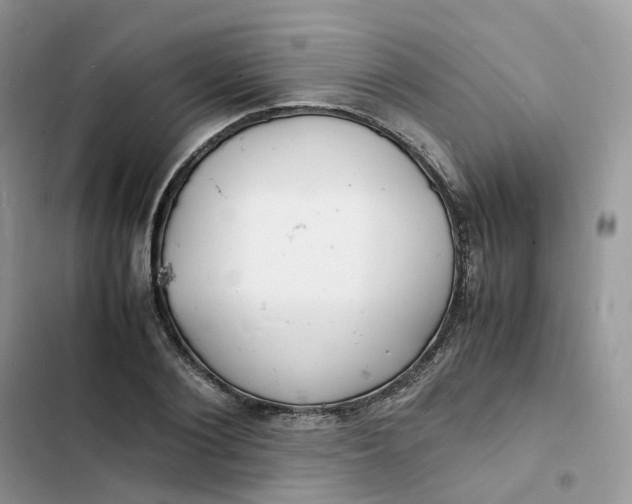 X0000103290884200809191827