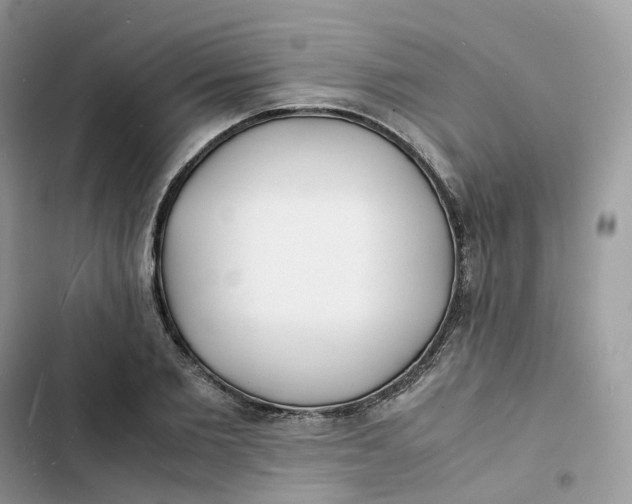 X0000103290885200809191827