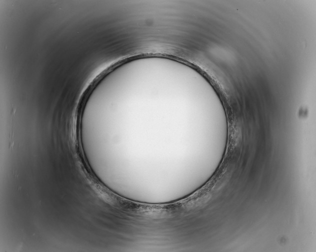 X0000103290886200809191827