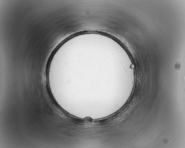 X0000103290887200809191827