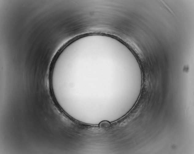 X0000103290888200809191827