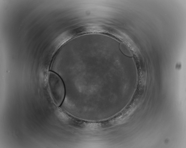 X0000103290889200809191827