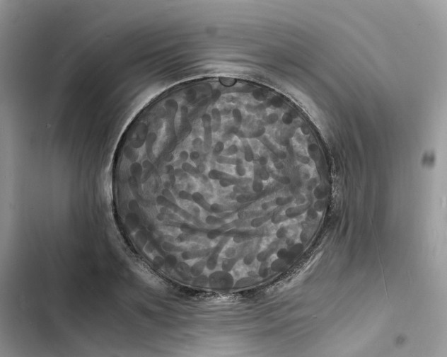 X0000103290891200809191827