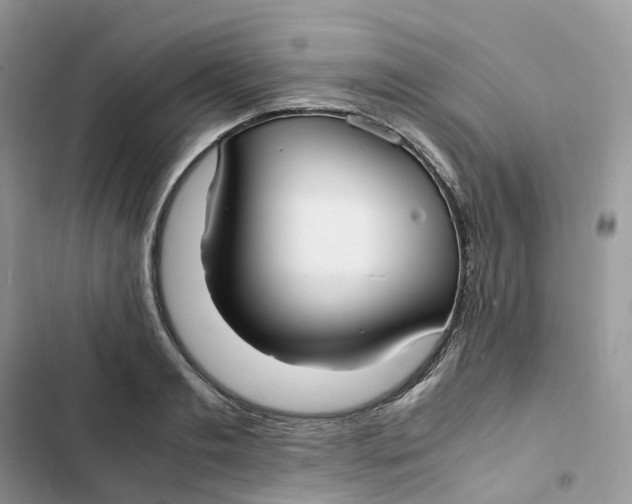 X0000103290893200809191827