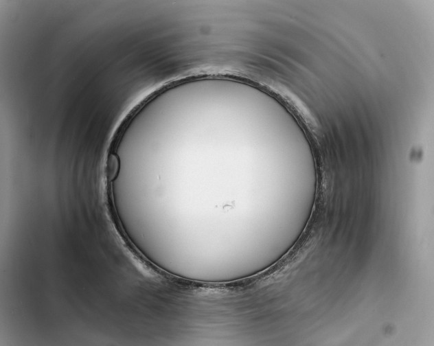 X0000103290894200809191827