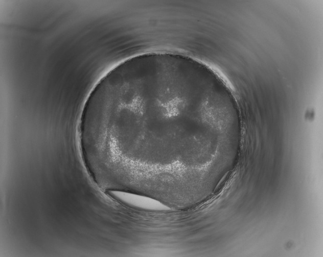 X0000103290895200809191827