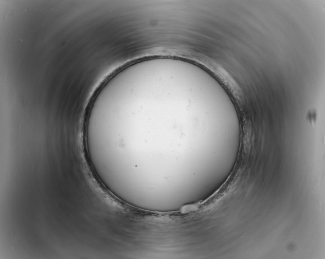 X0000103290896200809191827