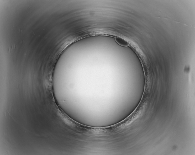 X0000103290897200809191827