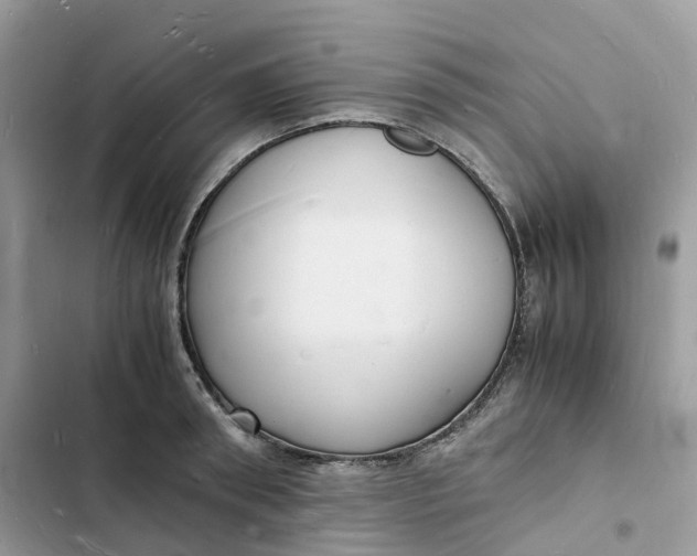 X0000103290898200809191827