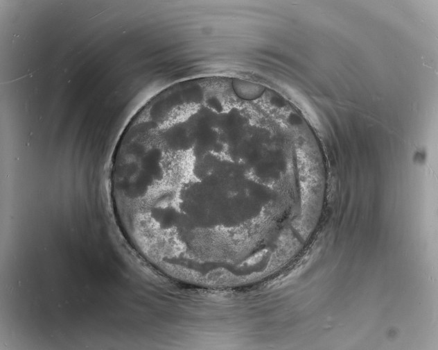 X0000103290899200809191827