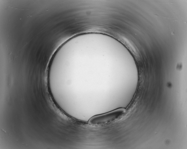 X0000103290900200809191827