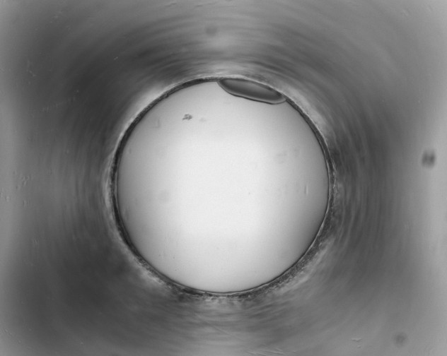 X0000103290901200809191827