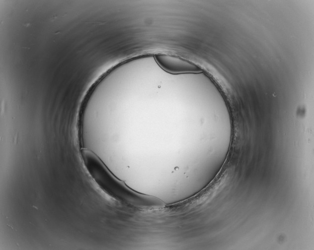 X0000103290902200809191827