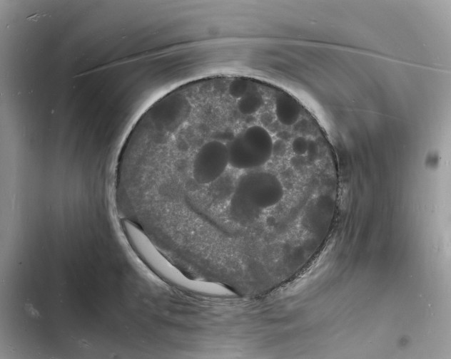 X0000103290903200809191827