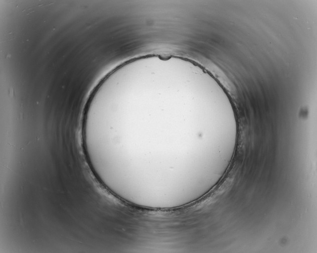 X0000103290904200809191827