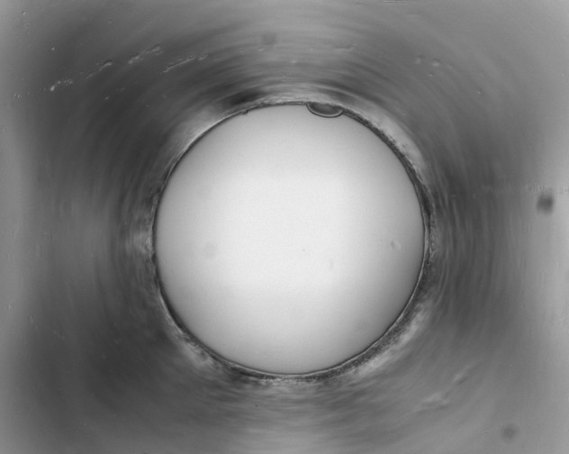 X0000103290905200809191827