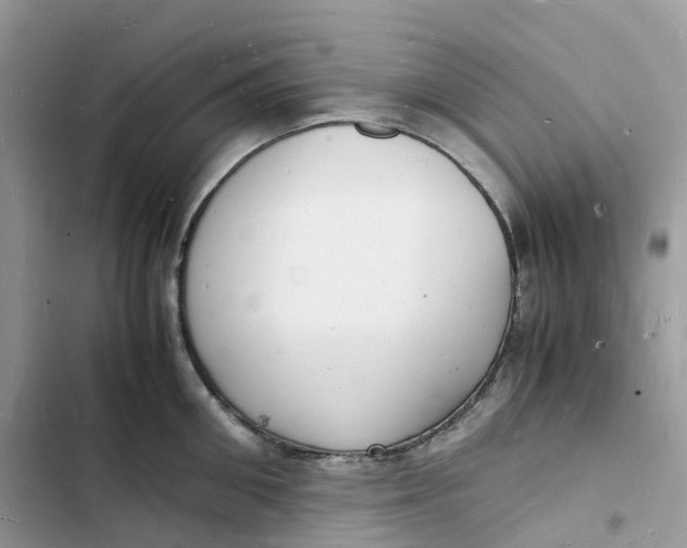 X0000103290906200809191827