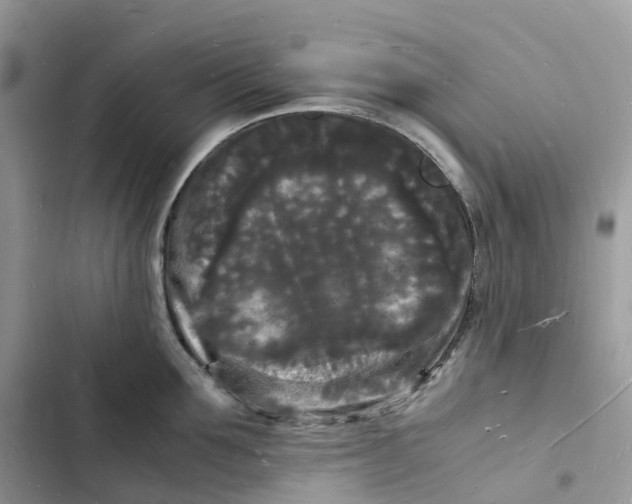 X0000103290907200809191827